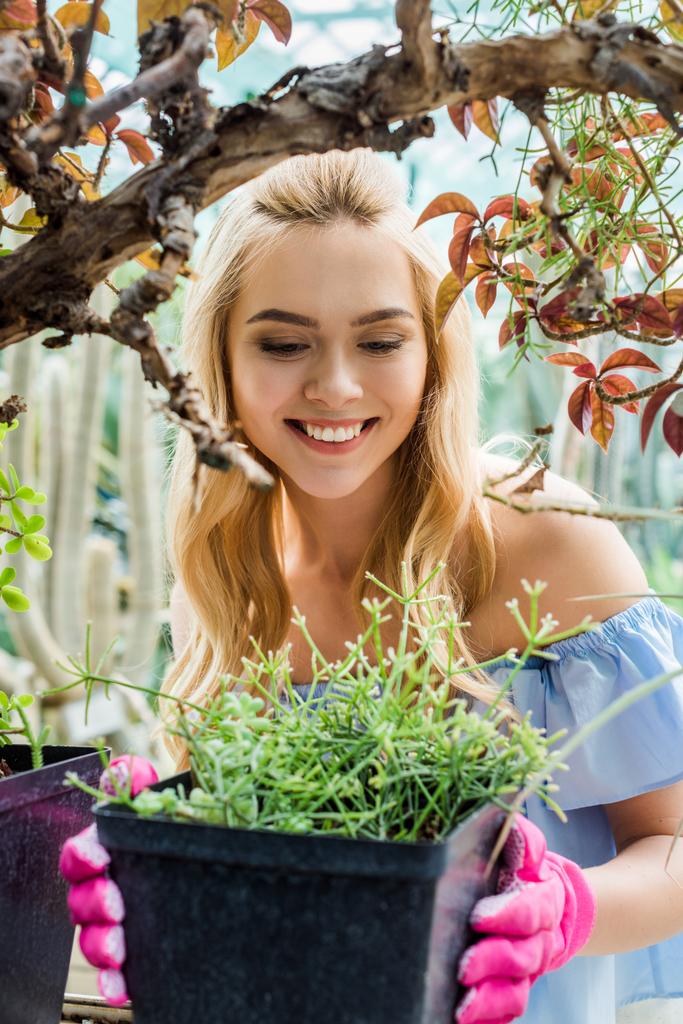 pembe lastik eldiven yeşil bitkiler ile pota tutan güzel gülümseyen genç kadın  - Fotoğraf, Görsel