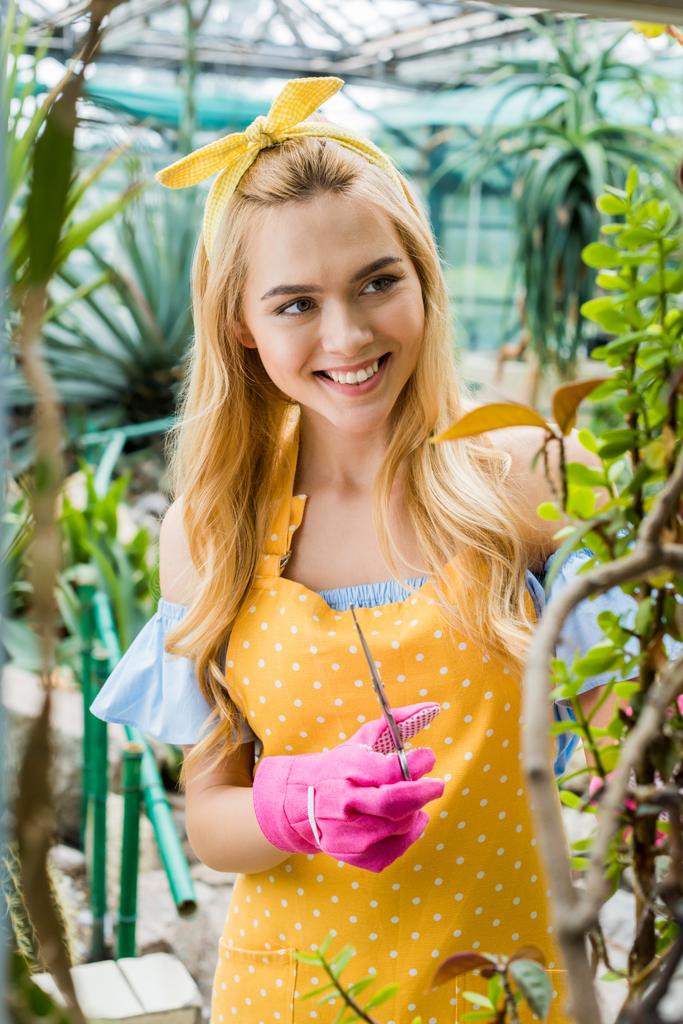 kaunis hymyilevä nuori nainen, jolla on sakset ja työskentelee kasvihuoneessa
 - Valokuva, kuva