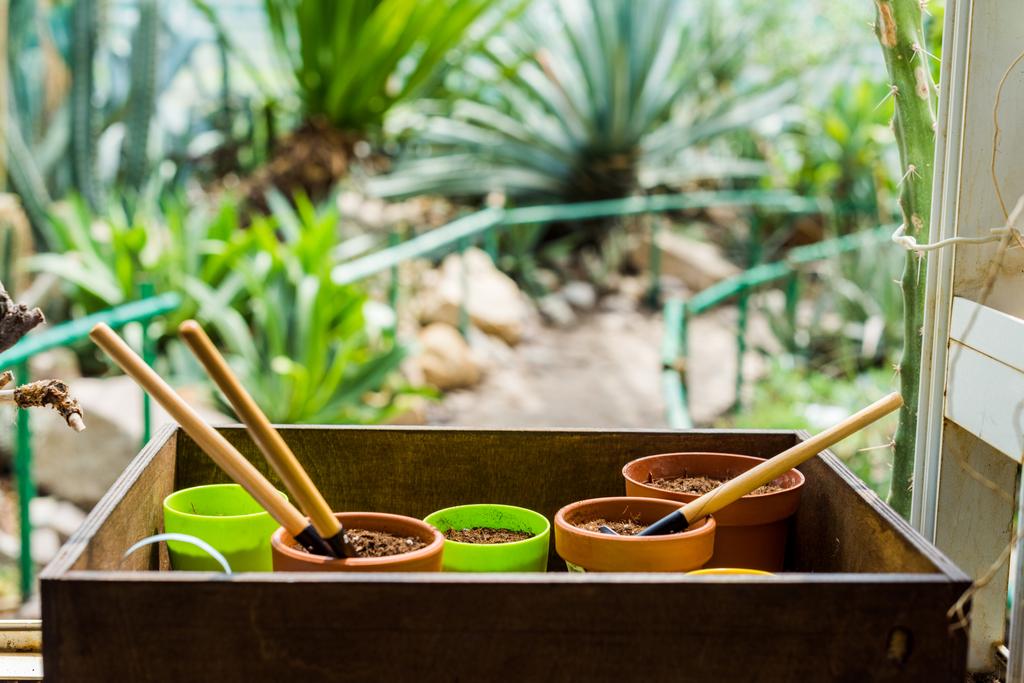 vista de cerca de la caja con macetas, tierra y herramientas de jardinería en invernadero
 - Foto, Imagen