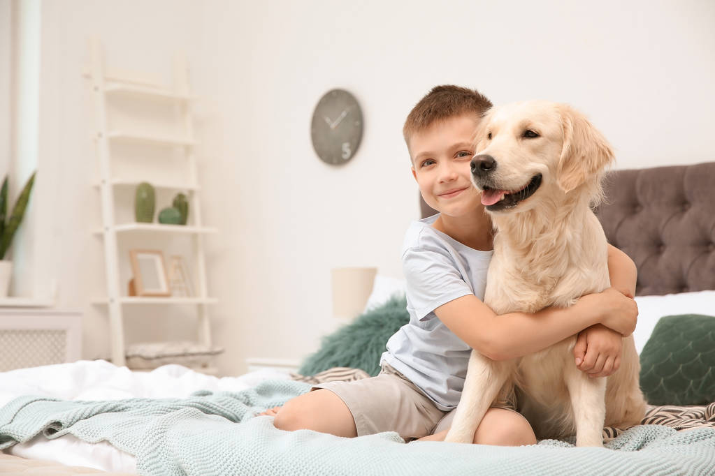 Lindo niño pequeño con su mascota en la cama en casa
 - Foto, imagen