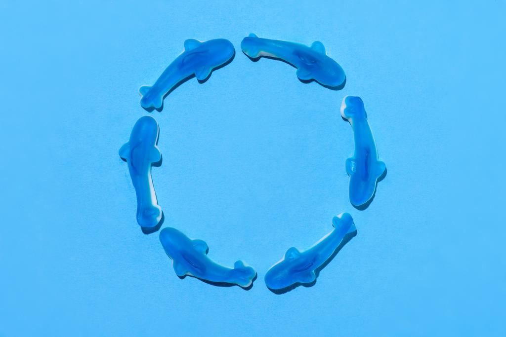top view of gummy sharks in circle shape on blue - Photo, Image
