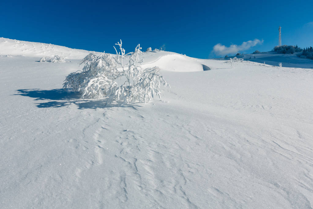 Hermosos árboles de glaseado rime de invierno, torre de comunicación y ventisqueros en la cima de la montaña en el fondo del cielo azul (Montaña de los Cárpatos, Ucrania
) - Foto, imagen