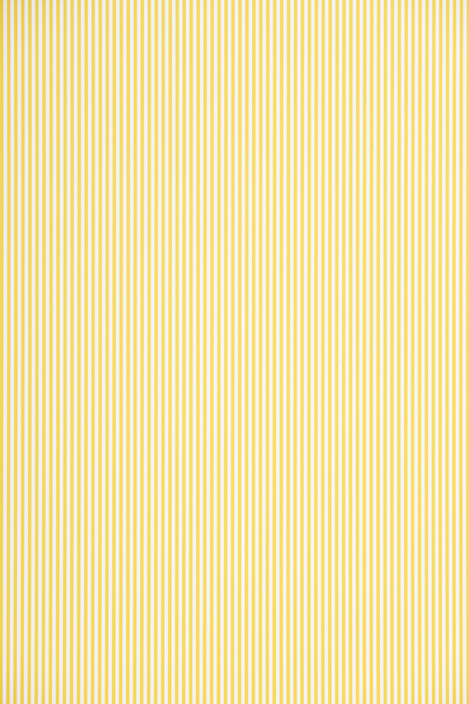 Striped diagonal and white pattern texture - Photo, Image
