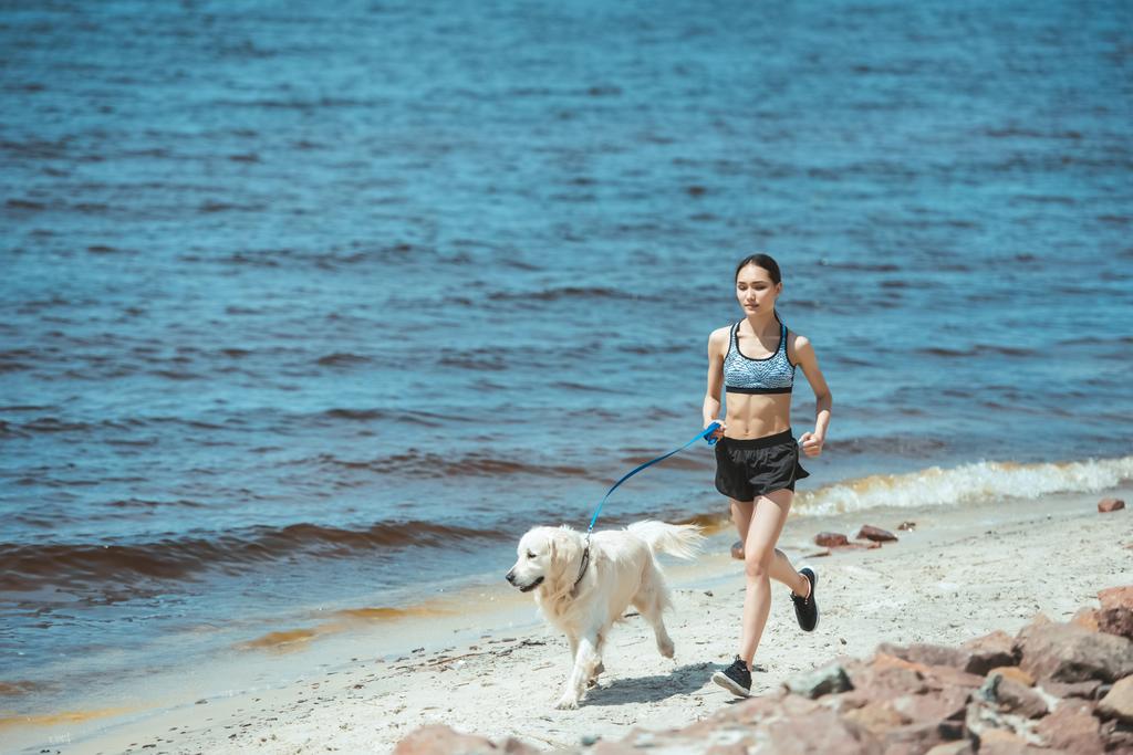 distant view of asian sportswoman running with golden retriever near sea  - Photo, Image