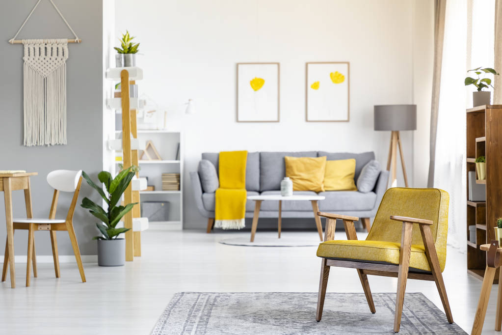 Sillón amarillo en la alfombra cerca de la planta en el interior del espacio abierto con carteles sobre el sofá gris. Foto real con fondo borroso
 - Foto, imagen