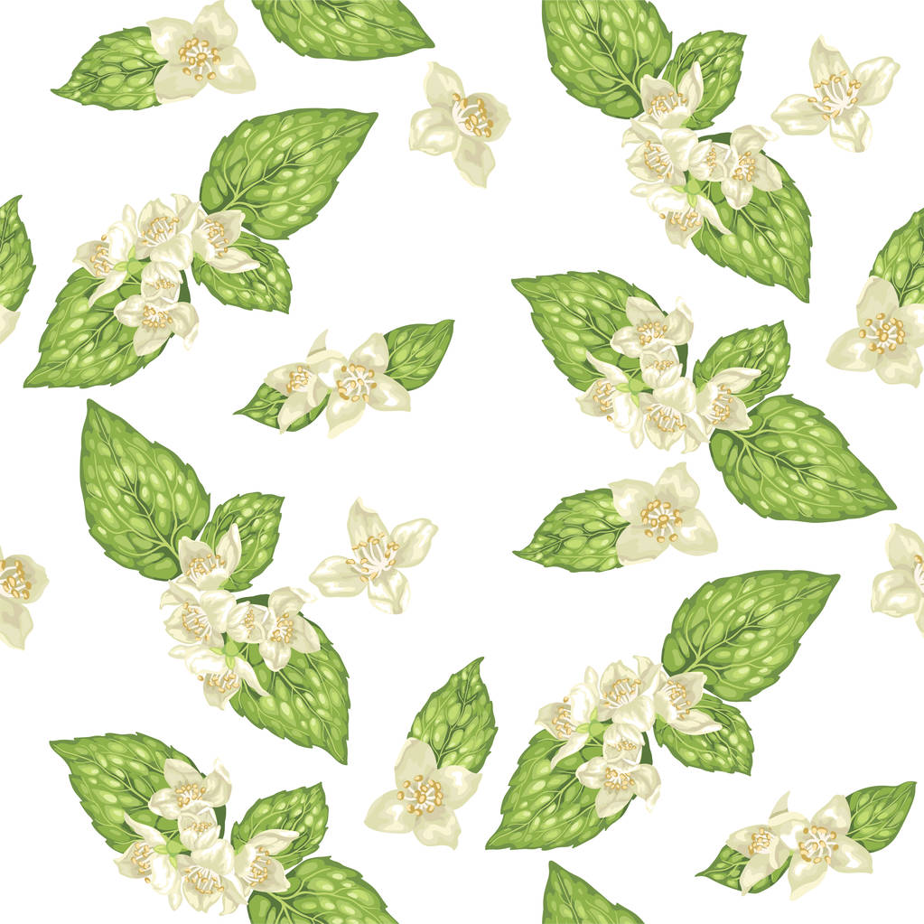 nahtloses Muster mit Jasminzweigen mit Blüten in realistischer grafischer Vektorillustration  - Vektor, Bild