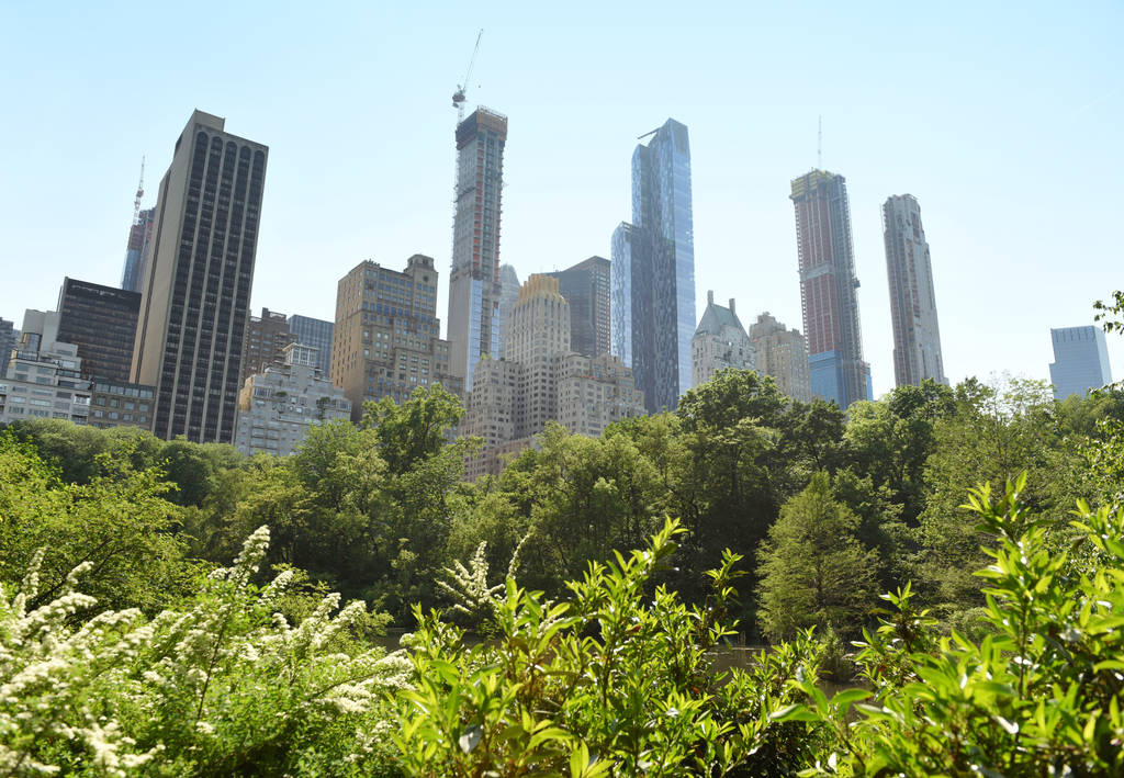 Central Park en de wolkenkrabbers in New York - Foto, afbeelding