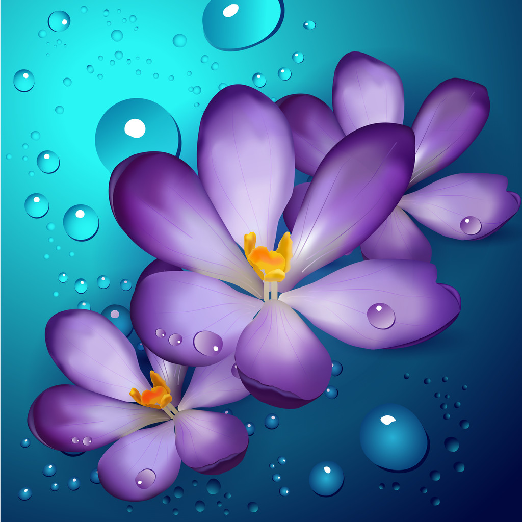 Lila lotuses illusztrációja - Vektor, kép