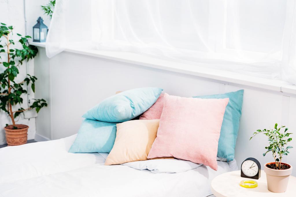 comfy bed met veel kussens in moderne lichte kamer met wekker en plant van nachtkastje - Foto, afbeelding