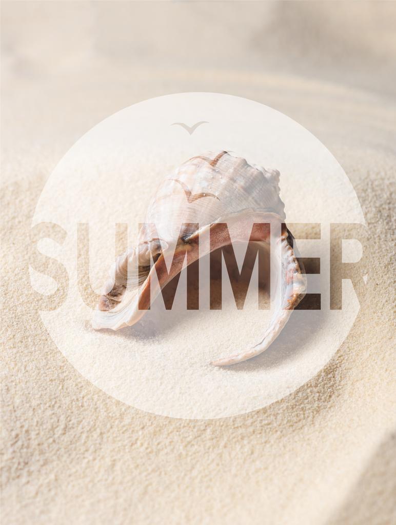 Seashell filled with sand on summer beach, summer inscription - Photo, Image