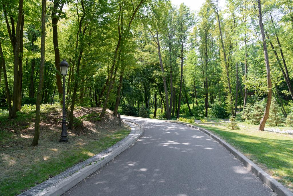 γραφική θέα ασφάλτινη διαδρομή σε πάρκο με τρέσες κάτω από το φως του ήλιου  - Φωτογραφία, εικόνα