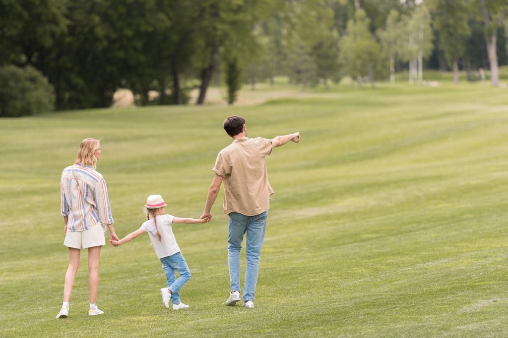 Вид сзади семьи с одним ребенком, держащимся за руки и гуляющим вместе в парке
 - Фото, изображение