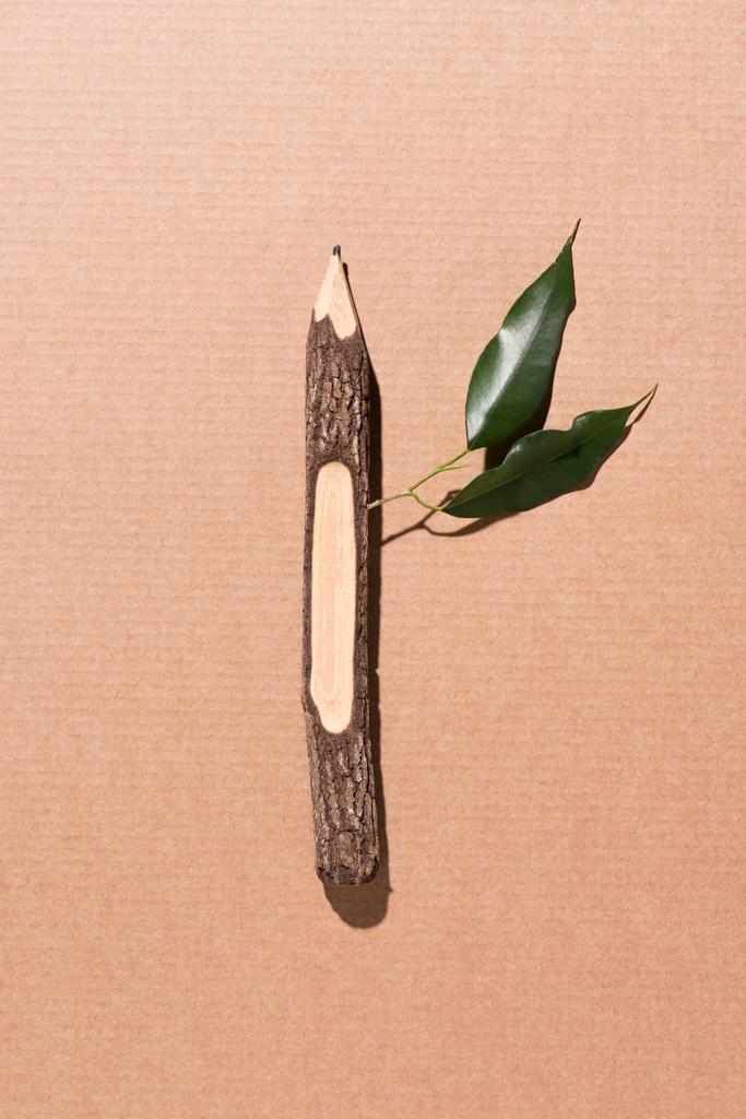top view of wooden pencil with green leaves on beige  - Photo, Image