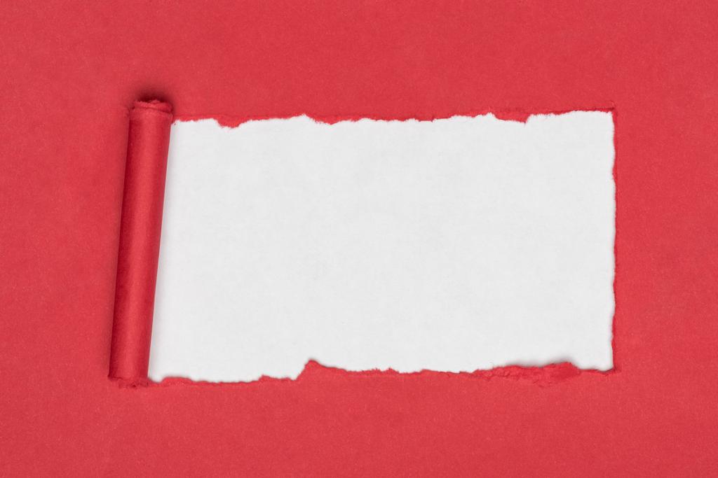 Draufsicht auf rot gerissenes Papier auf weiß  - Foto, Bild