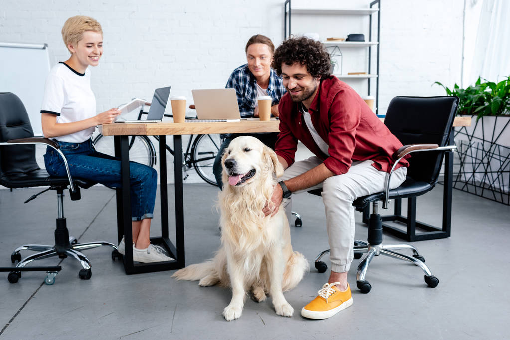 улыбающиеся молодые бизнесмены, смотрящие на собаку во время работы в офисе
 - Фото, изображение