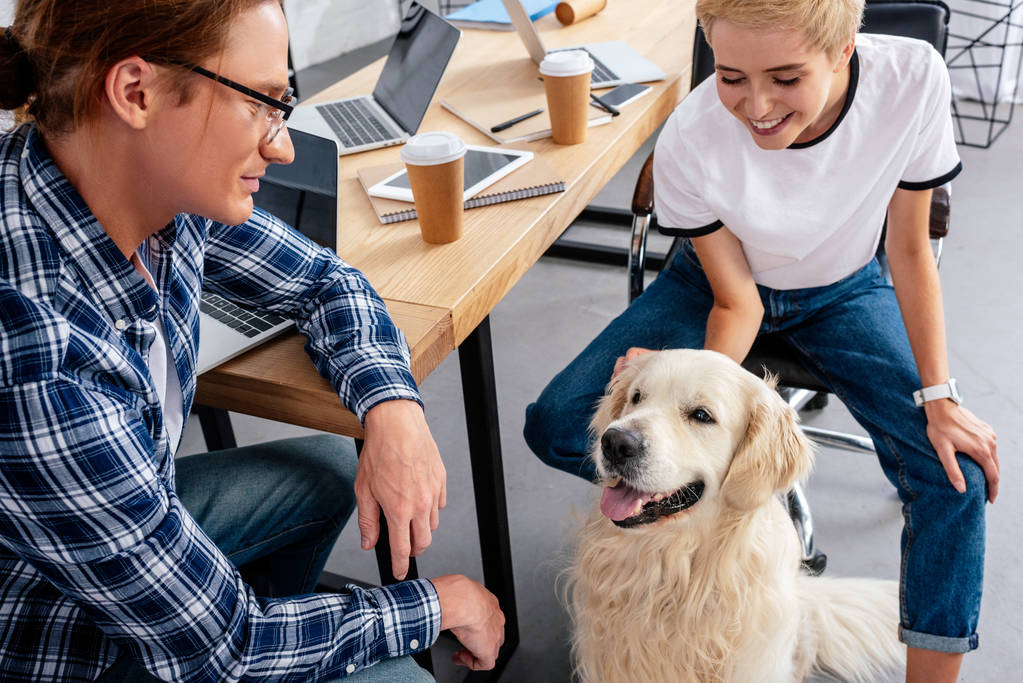 Lächelnde junge Kollegen beim Anblick von Hund im Büro - Foto, Bild