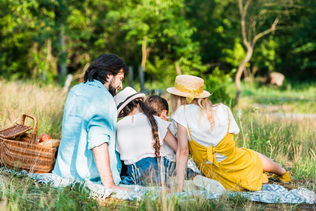 vista posteriore di genitori e bambini seduti su una coperta al picnic
 - Foto, immagini