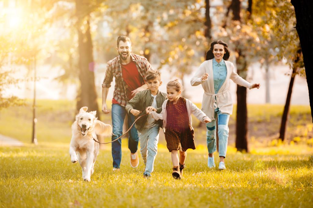 naurava perhe juoksee koiran kanssa niityllä puistossa auringonlaskun takana
 - Valokuva, kuva