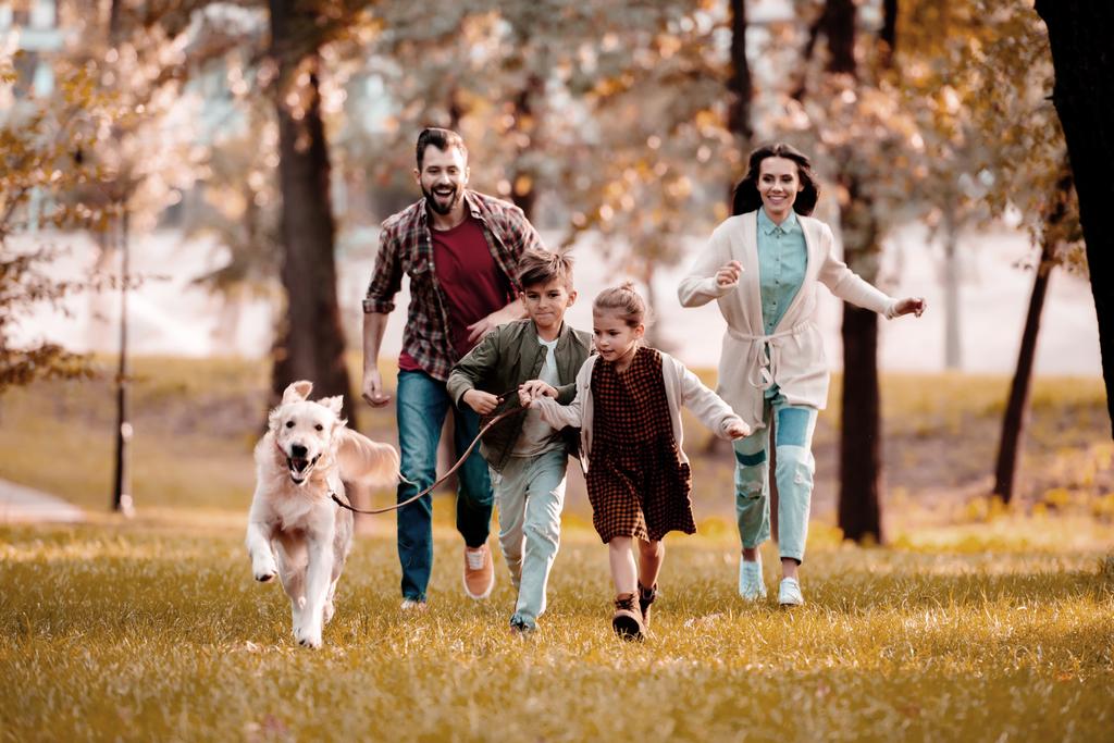 smiling family with labrador running on meadow in autumn park  - Photo, Image