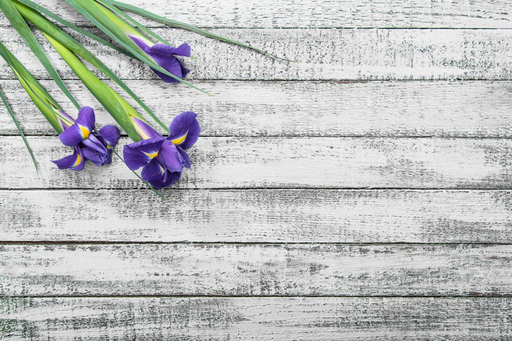 top view of beautiful iris flowers on grey wooden table - Photo, Image