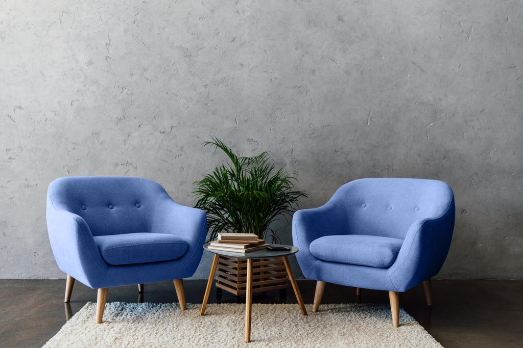 sisustus moderni huone sininen nojatuolit, pöytä kirjoja ja kasveja
  - Valokuva, kuva