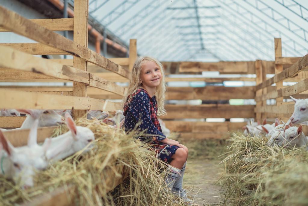 uśmiechający się dzieciak siedzi w stodole z kozy - Zdjęcie, obraz