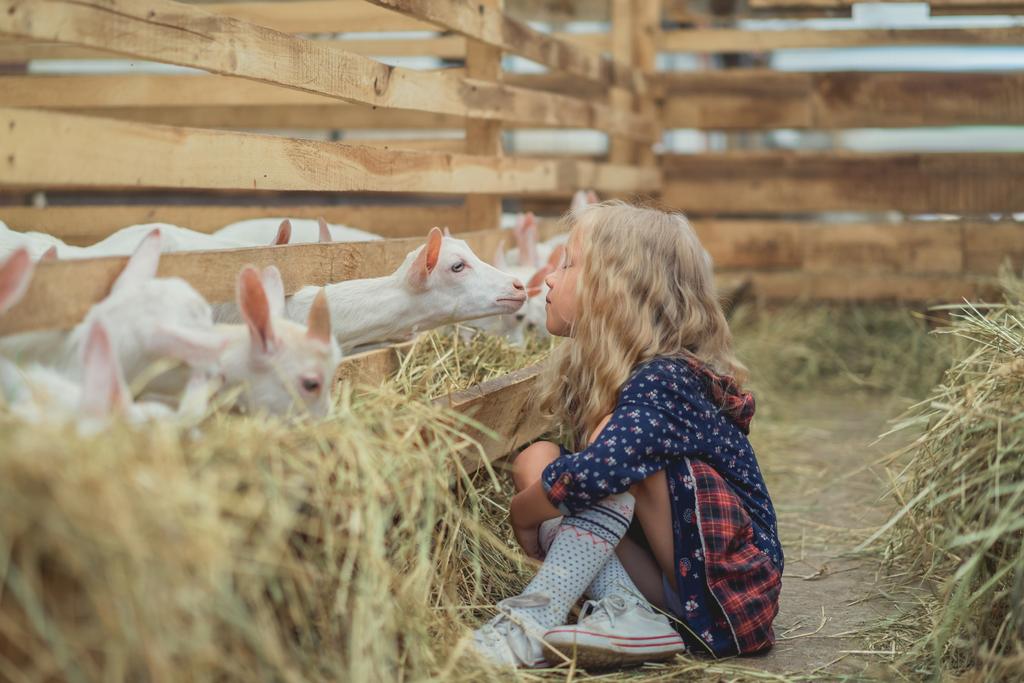 вид збоку дитина збирається поцілувати козла в сарай
 - Фото, зображення