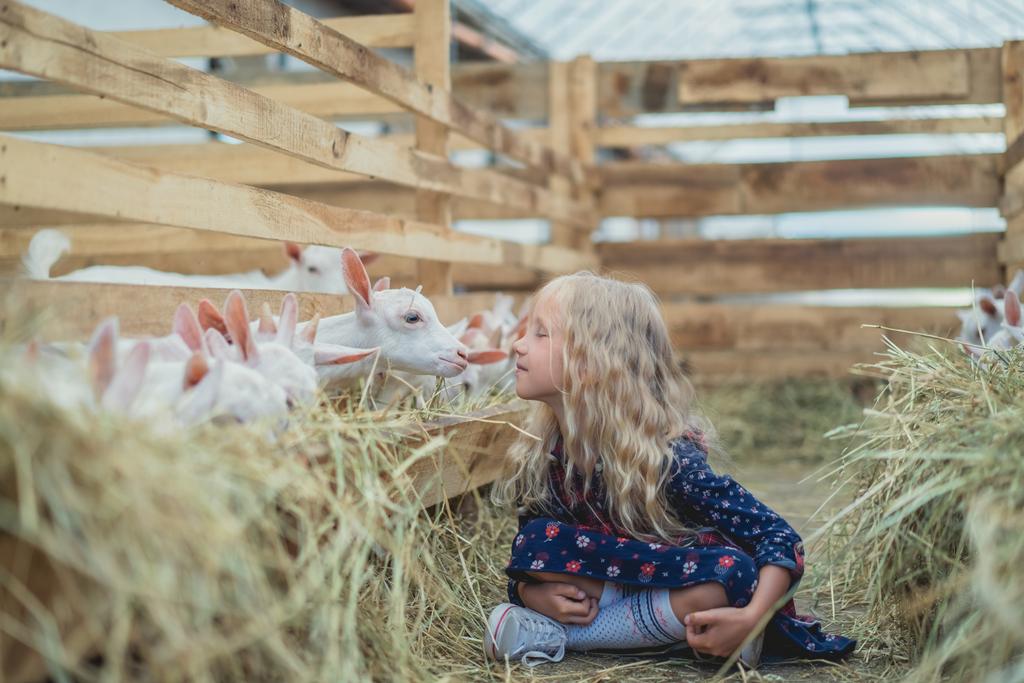 Zijaanzicht van kind naar kus geit op boerderij  - Foto, afbeelding