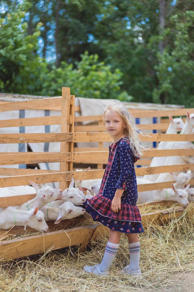 Маленькие козы кусают детей платье на ферме
 - Фото, изображение