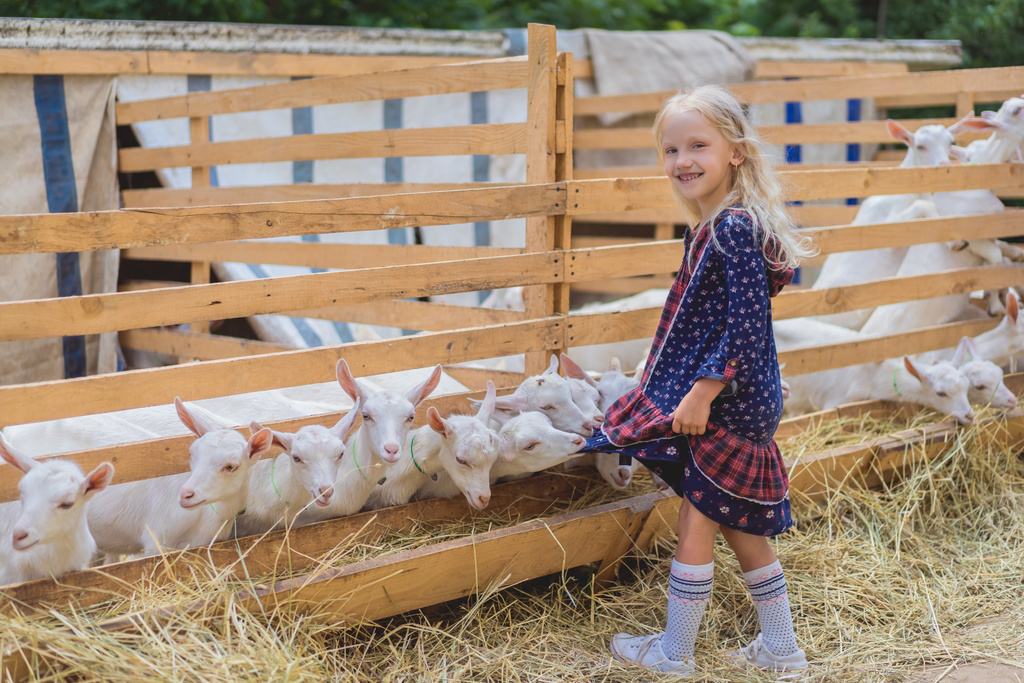 chèvres mordant enfants robe à la ferme, enfant heureux regardant caméra
 - Photo, image