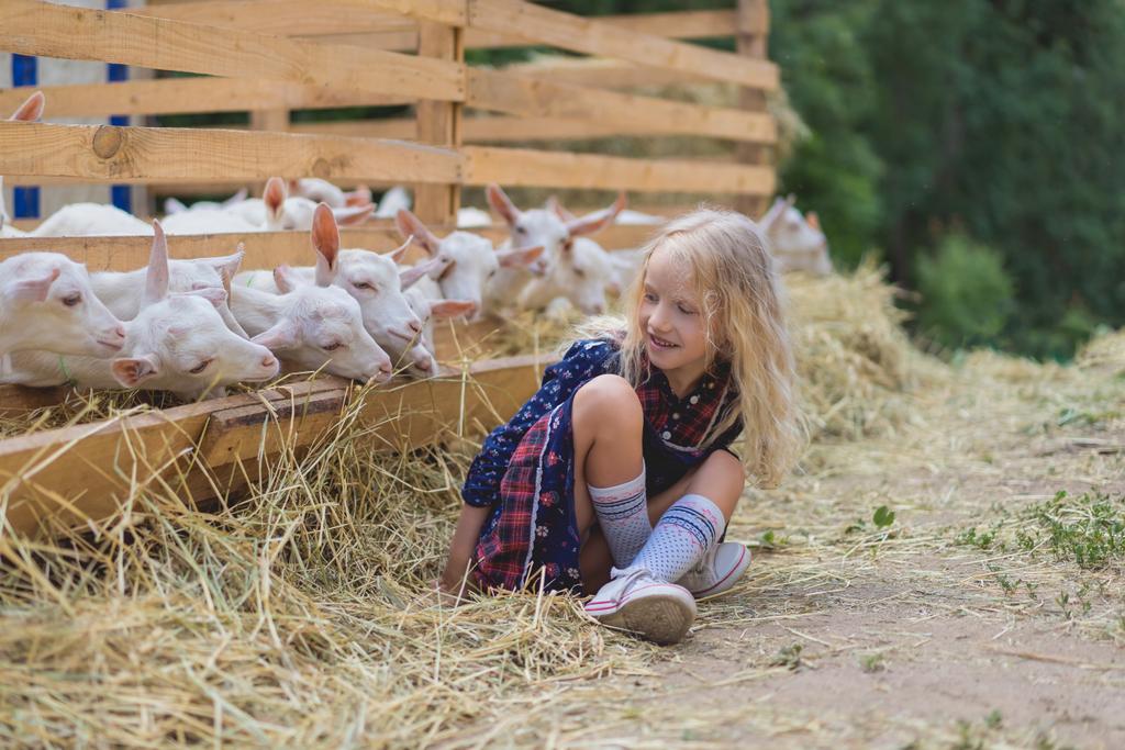 Kind sitzt auf Heu neben Ziegen hinter Zäunen auf Bauernhof - Foto, Bild