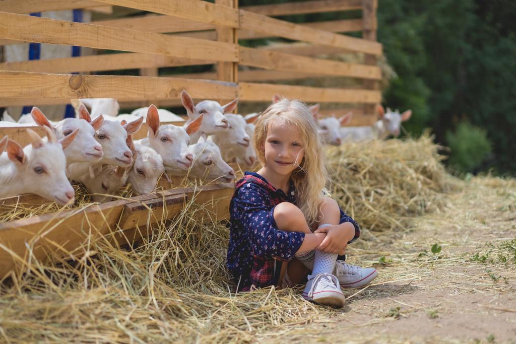 ребенок сидит на сене возле коз за заборами на ферме и смотрит в камеру
 - Фото, изображение