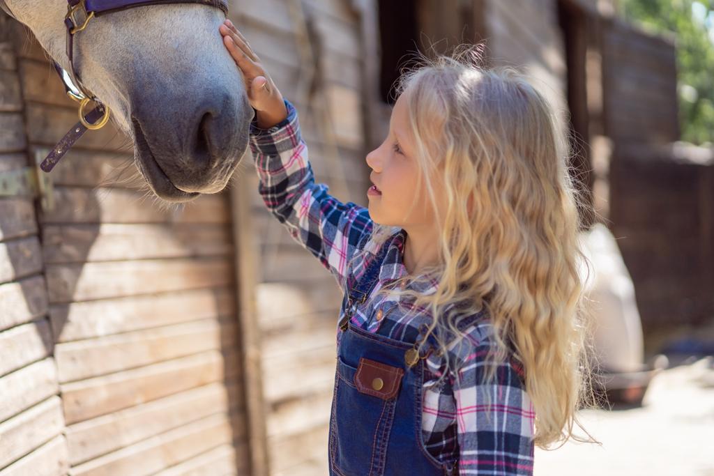 вид сбоку ребенка, трогающего белую лошадь на ферме
 - Фото, изображение