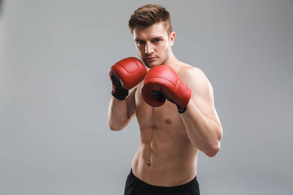 Retrato de un deportista fuerte sin camisa con guantes de boxeo aislados sobre fondo gris
 - Foto, Imagen