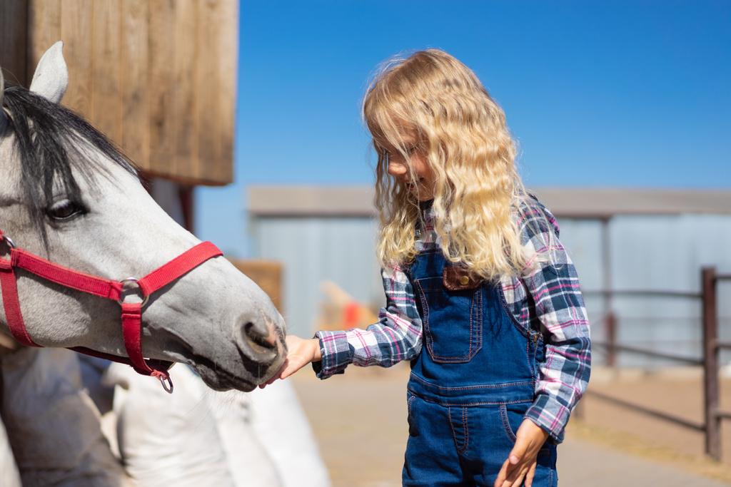 вид сбоку ребенка, кормящего белую лошадь на ферме
 - Фото, изображение
