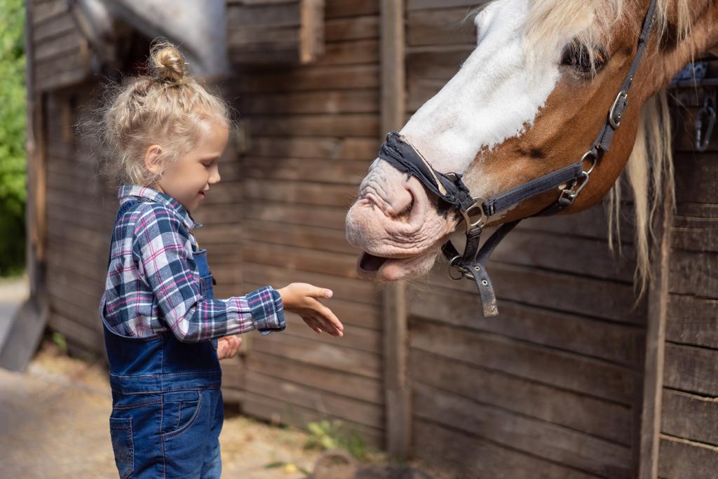 вид збоку дитина збирається доторкнутися до коня на фермі
 - Фото, зображення