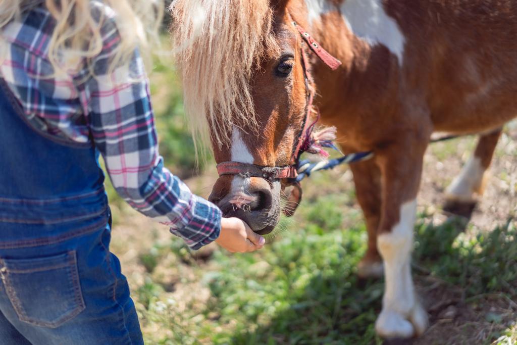 bijgesneden afbeelding voor kid feeding schattige pony op boerderij - Foto, afbeelding