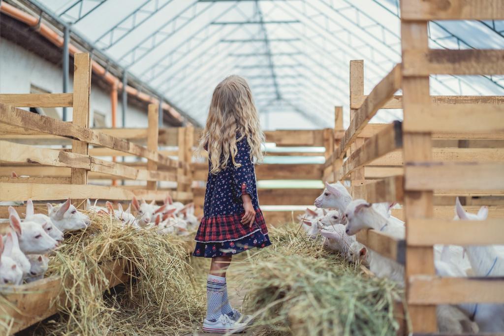 Seitenansicht eines Kindes, das mit Ziegen im Stall steht - Foto, Bild
