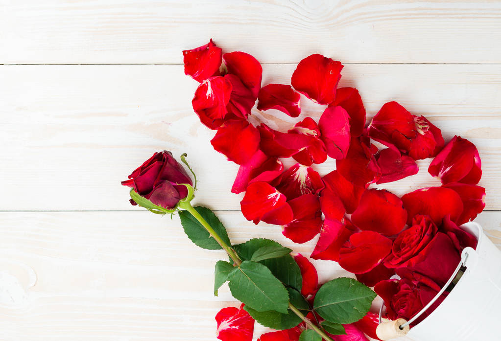 Rose en bloemblaadjes op houten oppervlak - Foto, afbeelding