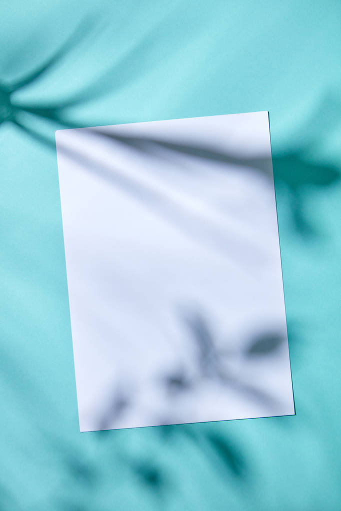 чистий білий аркуш паперу з красивими тінями листя на синьому фоні
 - Фото, зображення