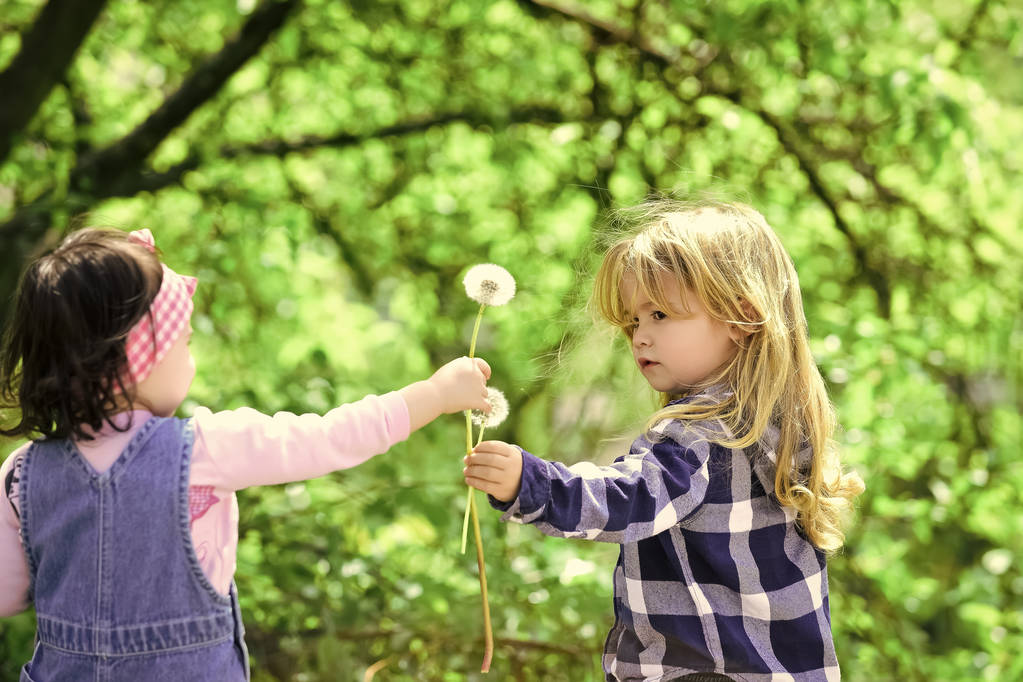 Kinderfreundschaft. Junge geben Löwenzahnblume für Mädchen - Foto, Bild