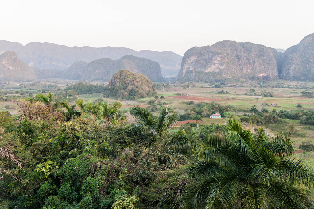 Πρωινή άποψη του Vinales κοιλάδα με βουνά mogote, Κούβα - Φωτογραφία, εικόνα