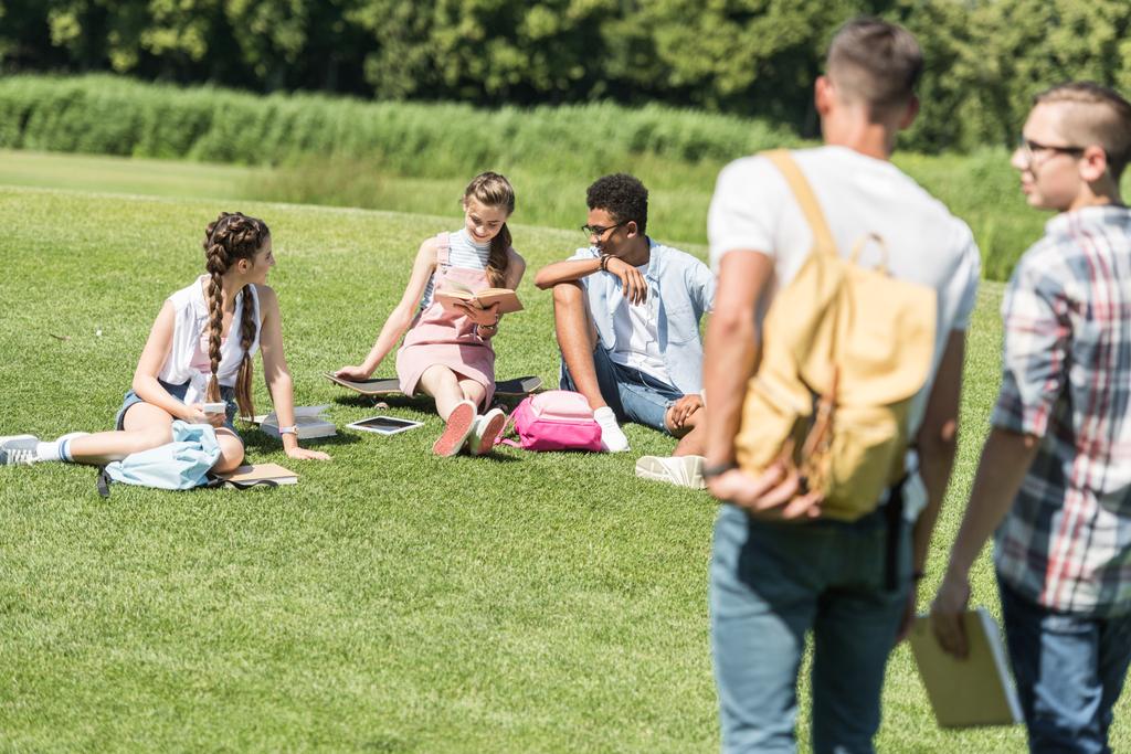 multiethnic teenage students sitting on grass and studying while classmates walking on foreground in park - Photo, Image
