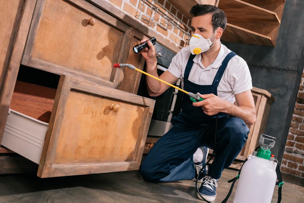 Pracownik kontroli szkodników rozpylania pestycydów w szafce w kuchni i przy użyciu latarki - Zdjęcie, obraz
