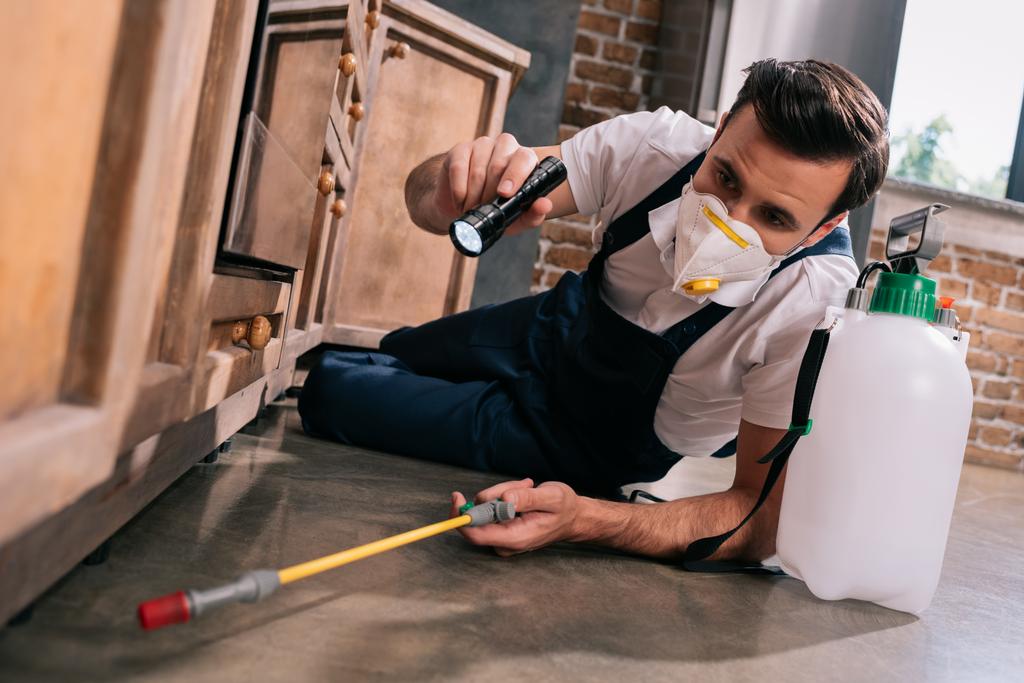 Pest ellenőrzése worker permetezést peszticidek alatt kabinet, konyhában, és zseblámpával - Fotó, kép