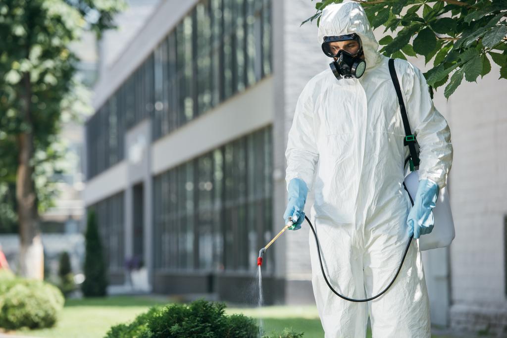 Schädlingsbekämpfer in Uniform und Atemschutzmaske sprühen mit Sprühgerät Pestizide auf Straße   - Foto, Bild