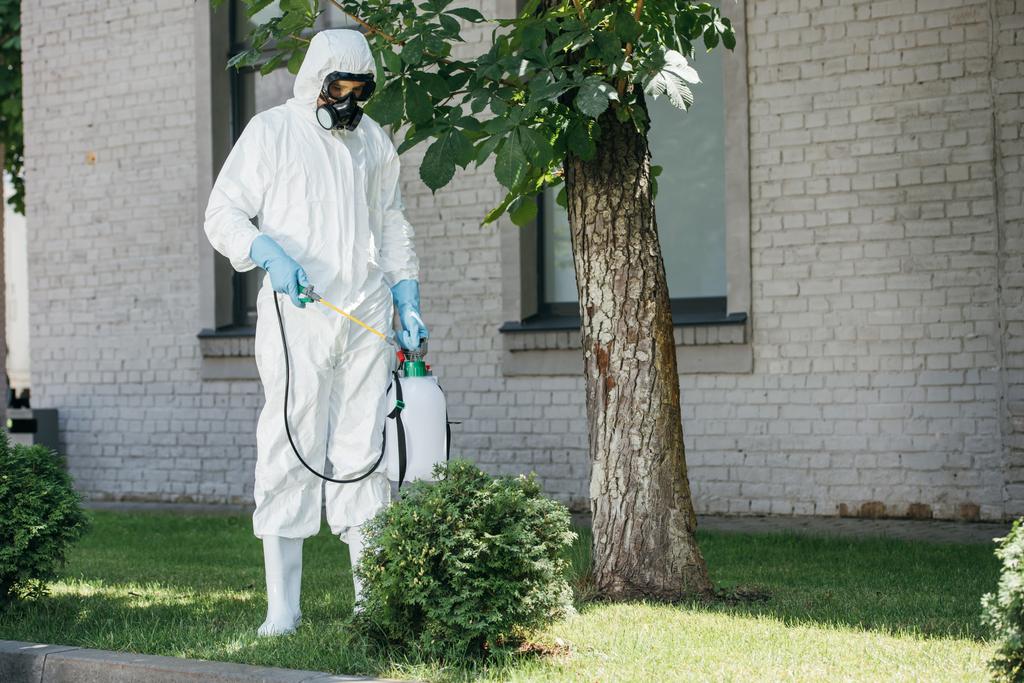 travailleur de la lutte antiparasitaire pulvérisation de pesticides sur le buisson
 - Photo, image