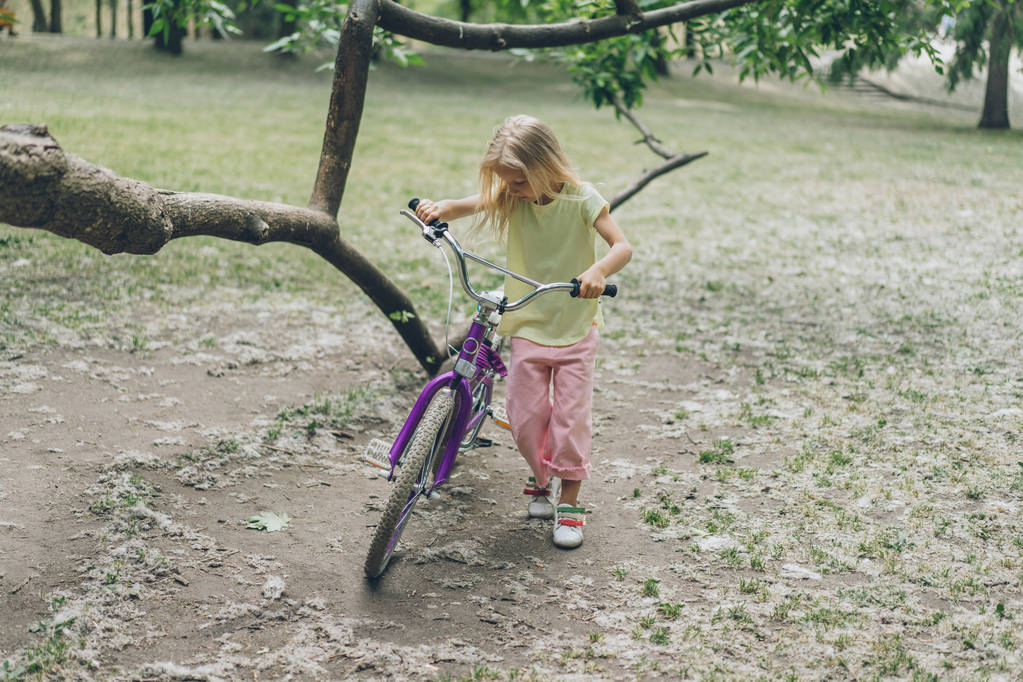 niño con bicicleta de pie cerca de la rama del árbol en el parque
 - Foto, imagen
