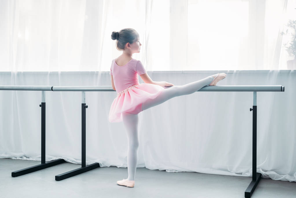 back view of little child in pink tutu exercising in ballet school - Photo, Image