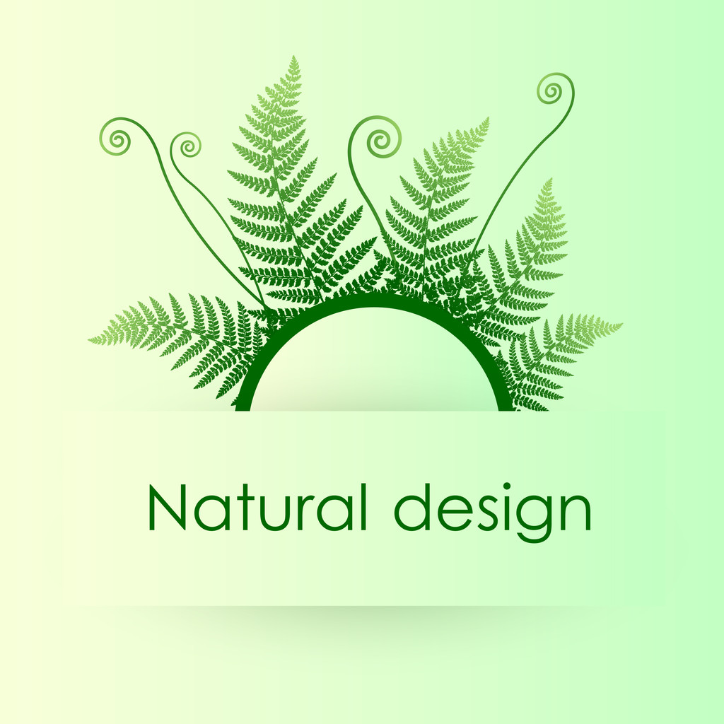 Vector green background with fern leafs - Vector, Image